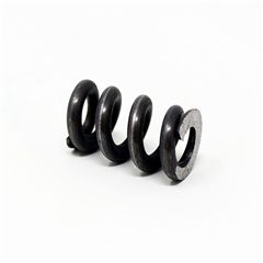 P123 - Pressure Spring