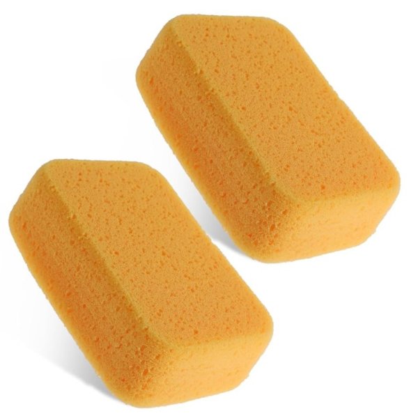 Sponges