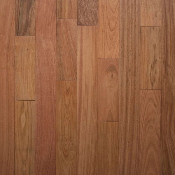 Brazilian Cherry