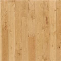 Urb Sq 6.5