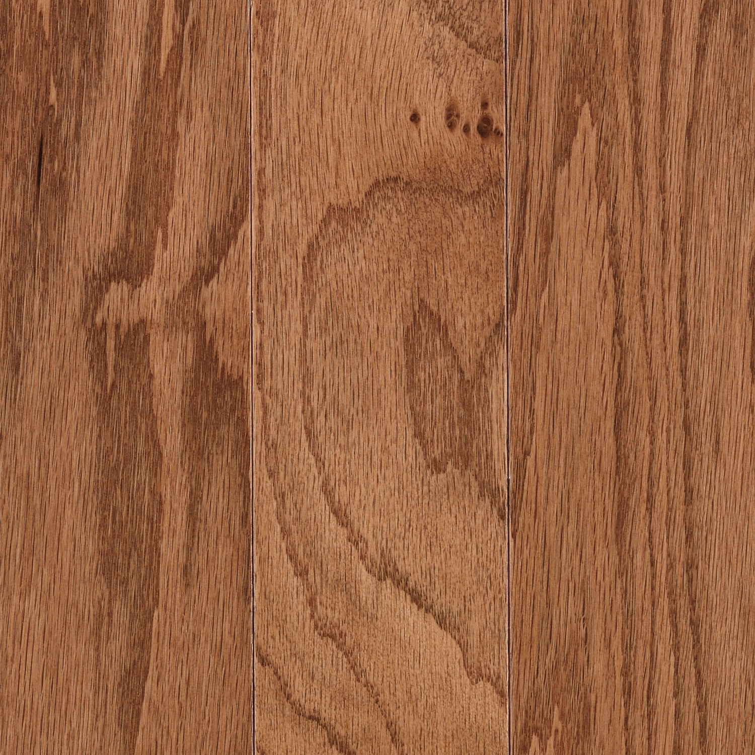 Oak Golden
