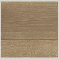 Chespke S Ch Palmetto