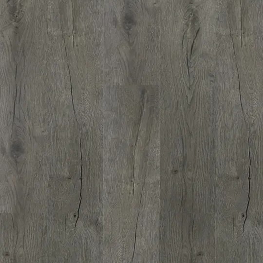 SPC  Hawaii Gray