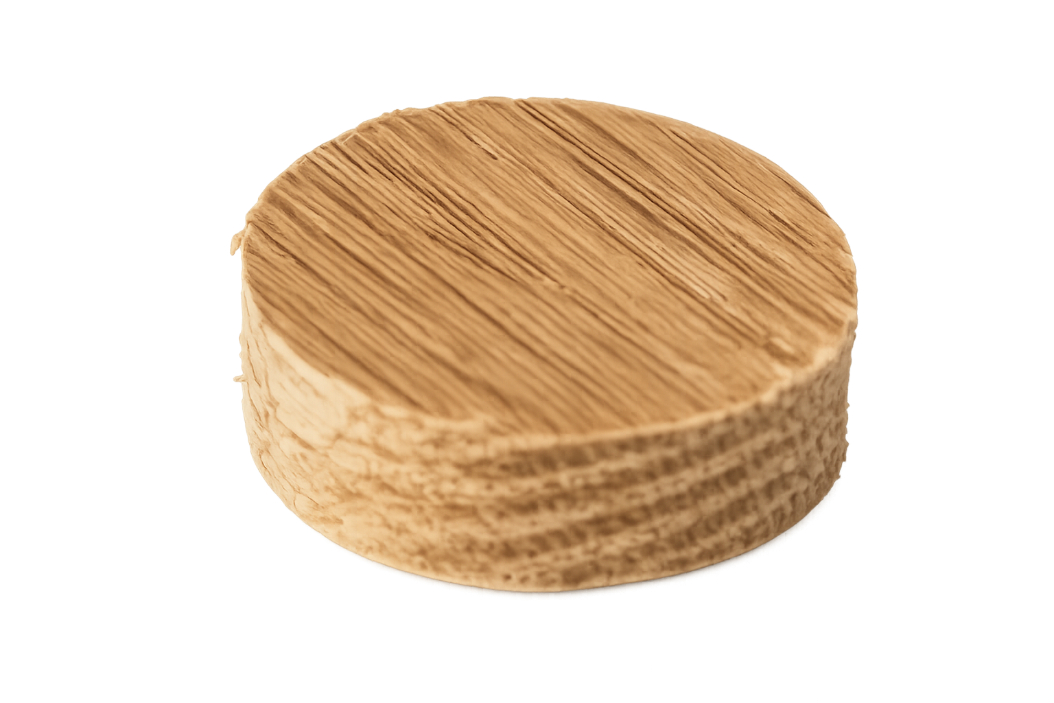 Flush Mount Plug 1