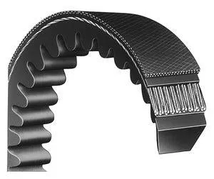 Bona Viking & Edge XL Belt