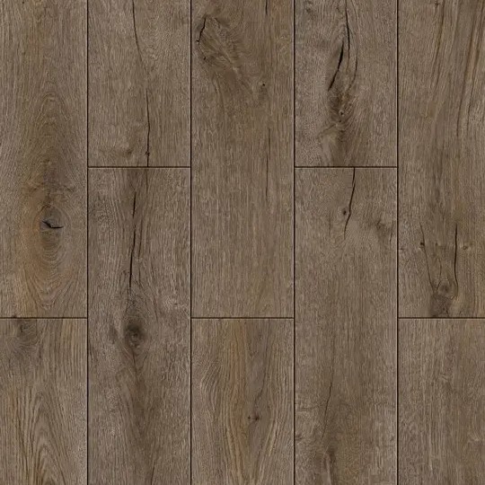 SPC BNG Honey Brown