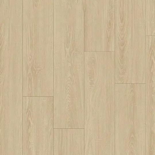 BNG SPC 12MIL Flow Natural