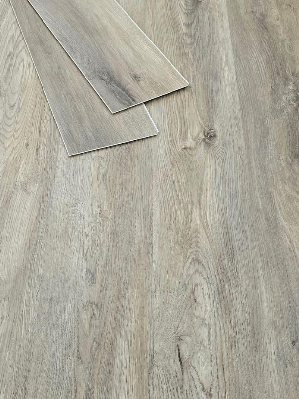 KOALA GRAY