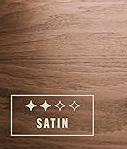 Radiance Oil Modified Water-Based Satin 5 Gal.