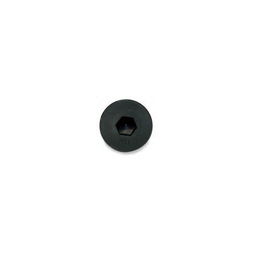 EZ-E Socket Flat Head Screw 5/16 x 1 in
